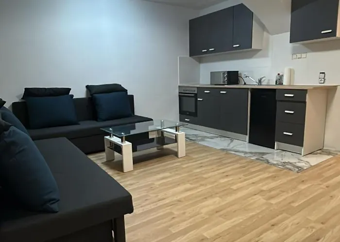 Economy 2br Next To Prater Amuesement Park Βιέννη